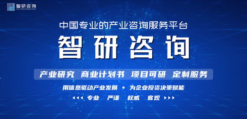 2022-2028年中國金融大數據行業市場深度評估及投資機會預測報告